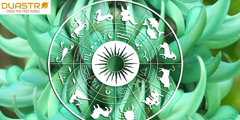 Astrological Plant Lore 